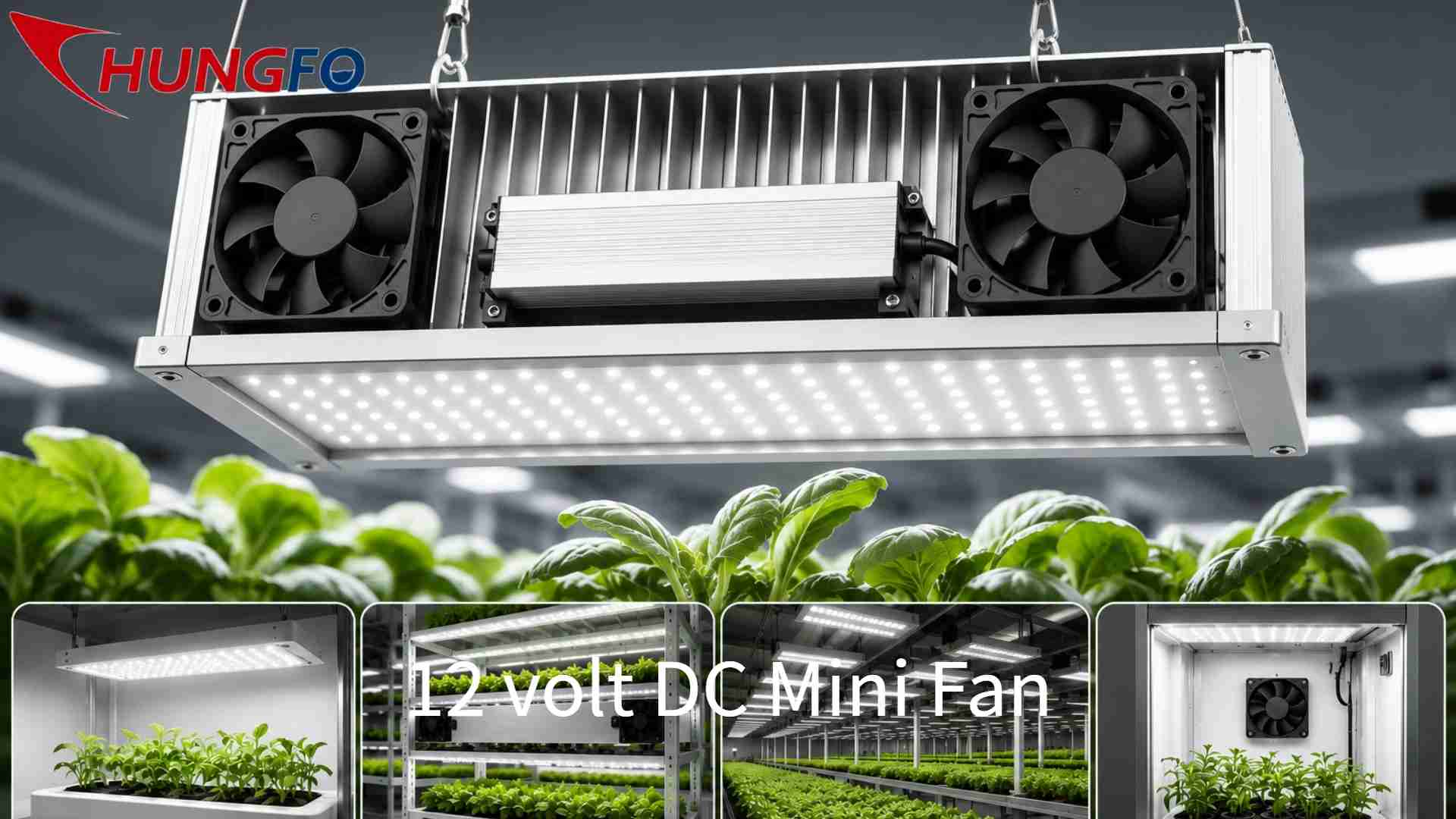 Warum ist ein Mini-Axiallüfter die bevorzugte Wahl für das Wärmemanagement von LED-Pflanzenleuchten?